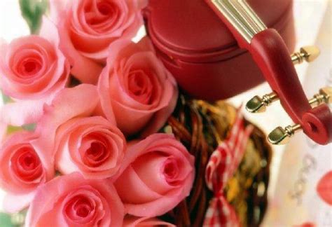 玫瑰花可以随便送吗 男人送你红玫瑰代表什么_婚庆知识_婚庆百科_齐家网