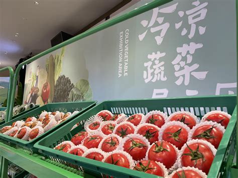 中阿博览会-宁夏优质农产品展区,经典案例-意飞逊会展