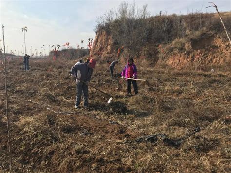 建宁乡西沟新村：村民冬“闲”变冬“忙”_高平市人民政府网