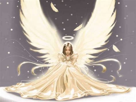 求张图片，一个天使的用翅膀包着自己_百度知道