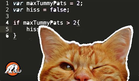 Coding for Cats | Cat-Themed JavaScript Course | Mammoth Interactive