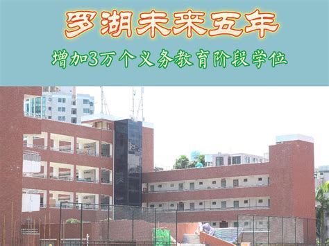 首期“罗湖发布”重磅上线！未来5年文化软实力行动计划大公开