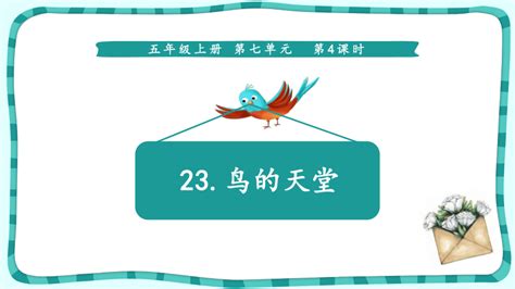 23鸟的天堂课件(共25张PPT)-21世纪教育网
