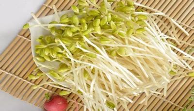 生绿豆芽的方法—家庭如何生好吃的绿豆芽_360新知