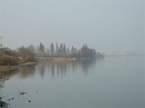 武汉黄家湖生态景观提档升级-国际在线