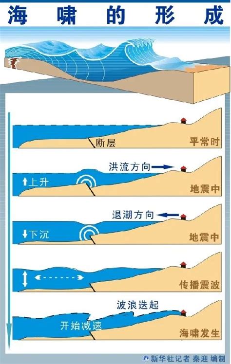 海底地震会带来海啸吗？遇到地震如何科学自救？答案在这里→_澎湃号·政务_澎湃新闻-The Paper