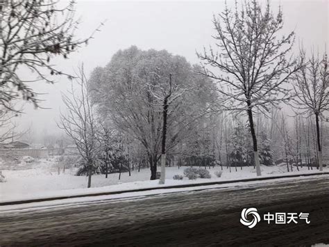 山东济宁迎2019年首场降雪-图片频道
