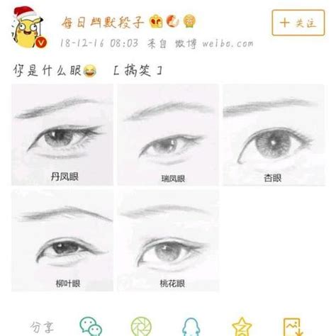 网友评内娱最漂亮的四双眼： 丹凤眼、瑞凤眼、桃花眼、狐狸眼……