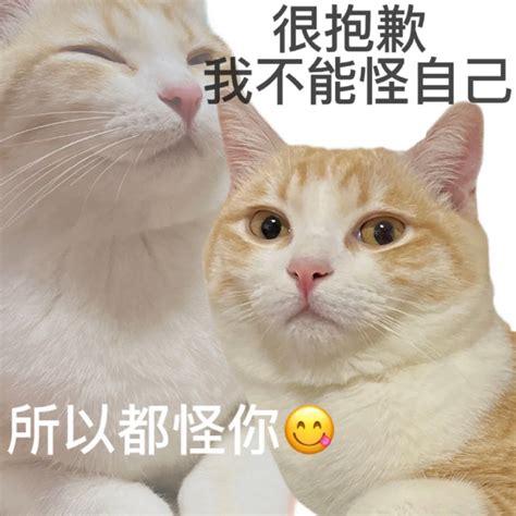 舒爽表情包图片