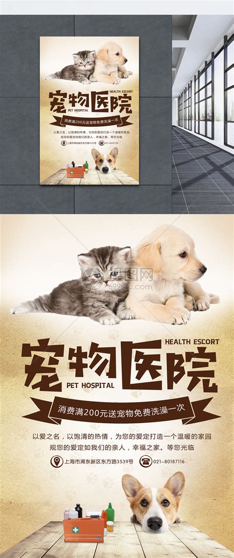 宠物医院海报模板素材-正版图片400882580-摄图网