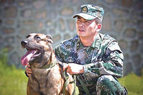 如果军犬有两任训导员的话，它会更听谁的呢？