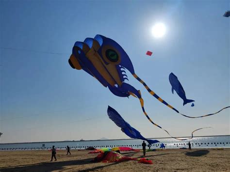 最大的达375㎡！各种风筝集体亮相金山城市沙滩 -上海市文旅推广网-上海市文化和旅游局 提供专业文化和旅游及会展信息资讯