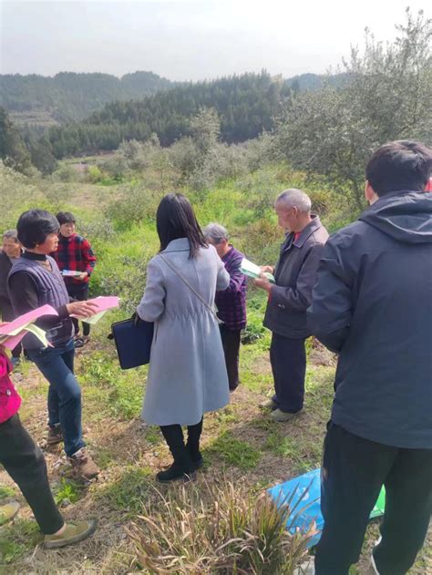 营山县林业科技推广立足一线，助力乡村振兴