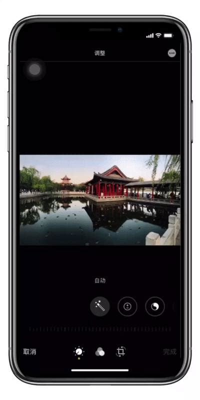在iPhone X中设置色彩滤镜的具体操作-天极下载