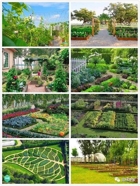 创意的菜园设计图图片素材-正版创意图片600078258-摄图网