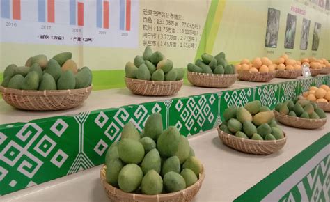 芒果粉-陕西新天域生物科技有限公司-官网