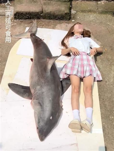 近拍大白鲨 - 江苏环境网