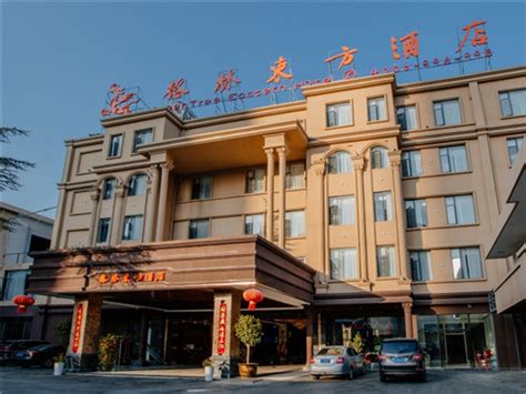 酒店大堂 - 北京同创同德建筑装饰工程有限责任公司