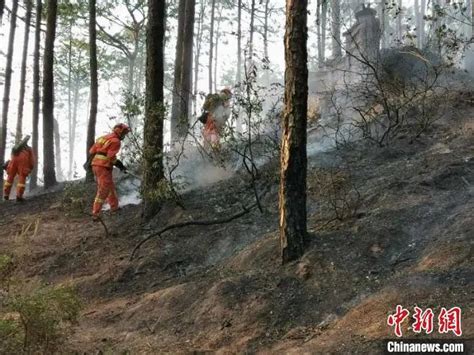 25人被追责！四川凉山致19死森林火灾调查结果公布