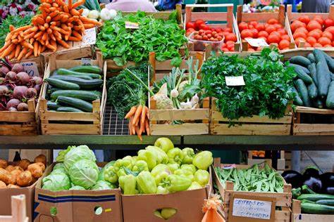 在哪个平台采购蔬菜便宜实惠