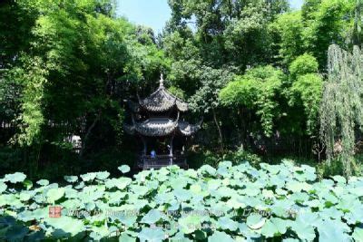 南京市六合区平山林场获评“2022年中国林场协会十佳林场”_我苏网