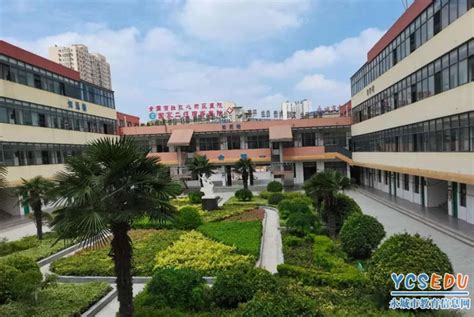 上海校讯中心 - 静安区威海路幼儿园