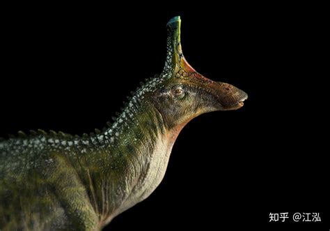 中国百年十大恐龙——青岛龙 - 知乎