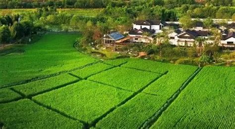 乡村旅游创新开发与经营实务_图书列表_南京大学出版社