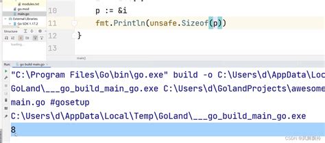 Golang中变量的数据类型_golang打印变量类型-CSDN博客