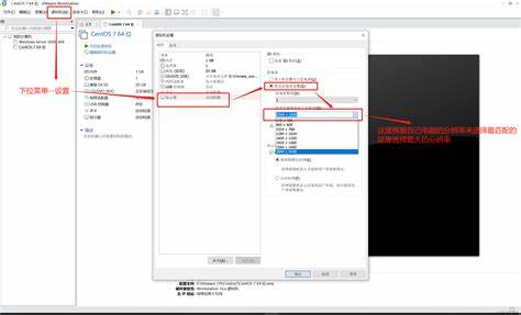 VMware Workstation 10调整窗口大小及字体设置教程