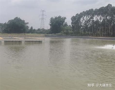 养殖水体水质调节技巧-中国鳗鱼网