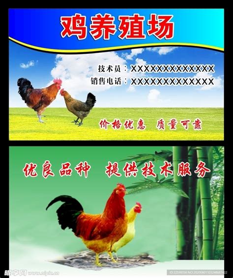 鸡养殖场名片设计图__名片卡片_广告设计_设计图库_昵图网nipic.com