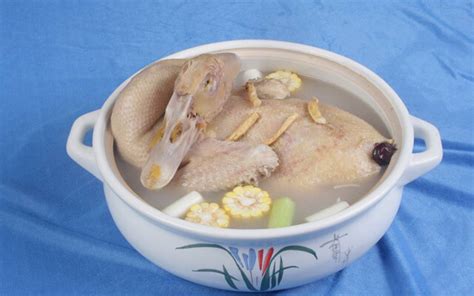 鸭汤怎么炖好喝-中华美食网