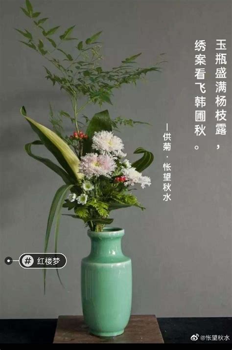 很多漂亮的菊花高清图片下载_红动中国