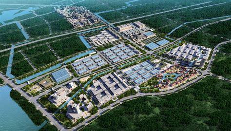 江夏区：树立中部地区大健康产业新地标，打造武汉“生态战略后院”-武汉市农业农村局