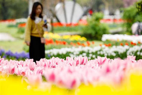 3月26日长江云客户端：武汉植物园内百花齐放春意浓----中国科学院武汉植物园