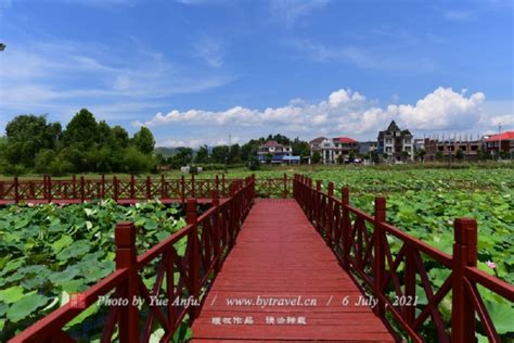 江西萍乡：湿地公园风光美-人民图片网