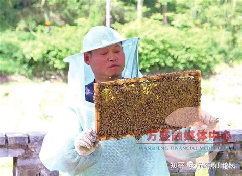 「虎啸风生」张祥勇：勤劳生活甜如蜜 - 知乎