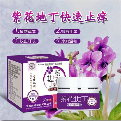 紫花地丁-中药学-医学