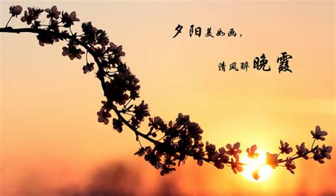 字大全大图图片