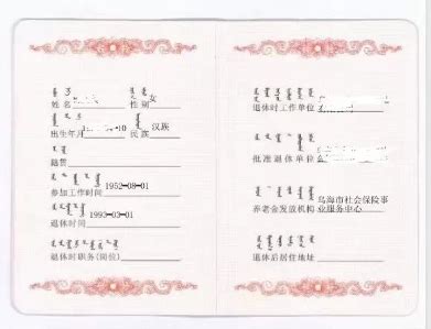 退休证有电子版啦：“上海市养老金领取证”电子证照攻略_凤凰网视频_凤凰网