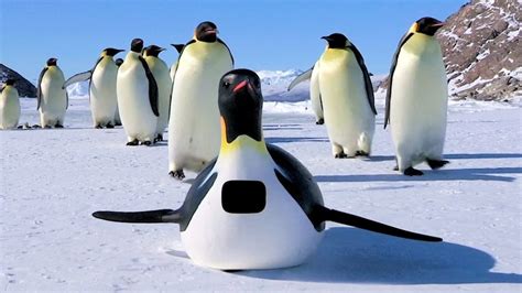 间谍企鹅带路去下蛋，结果掉进冰窟窿里，冻的浑身都是冰碴子，太逗了。_腾讯视频