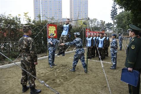 定向士官分配流程Word模板下载_编号lmzvgbza_熊猫办公