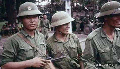 “会说话的树”，1979年，越南军队的优势，为何无法施展？__财经头条