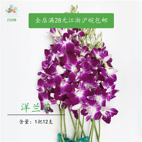 杨兰花图片