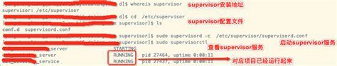 【supervisor】安装和使用，超级详细，开机自启动，以及其它的注意细节_supervisor启动-CSDN博客