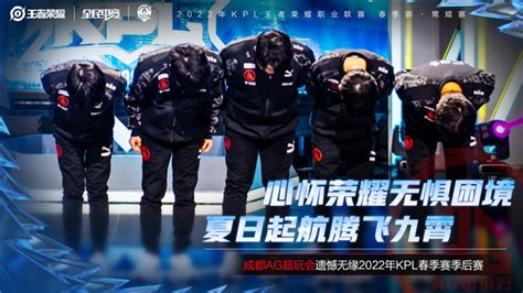 【简讯】杭州LGD大鹅晋级季后赛败者组，成都AG遗憾淘汰-王者荣耀官方网站-腾讯游戏