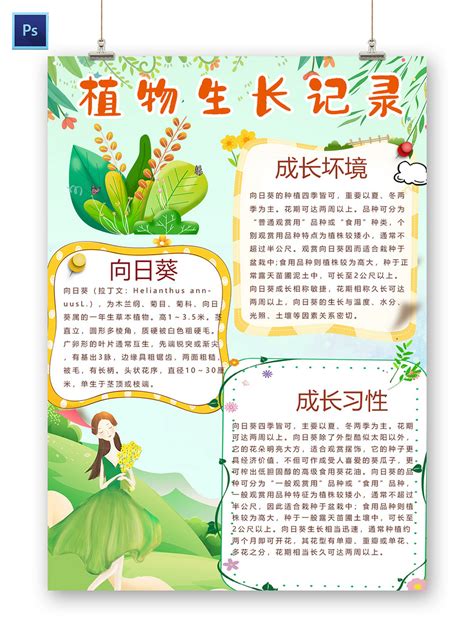 卡通植物生长记录向日葵成长习性成长环境小报植物小报小报手抄报-二哈办公