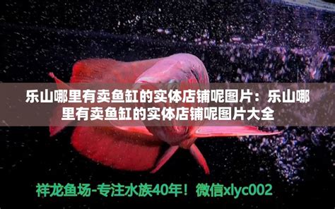 淡水观赏鱼117种图片名字（淡水观赏鱼图鉴） - 祥龙水族医院 - 广州观赏鱼批发市场