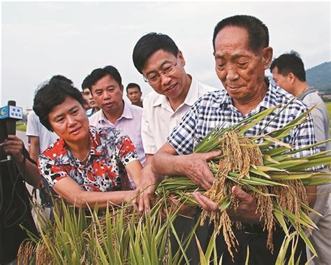 中国农技推广的“广西现象”-国际在线